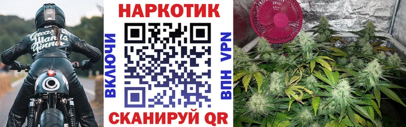Купить наркотики Порхов Конопля  Амфетамин  Альфа ПВП  ОМГ ОМГ маркетплейс  COCAIN  МЕФ 