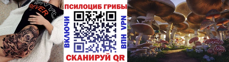 Галлюциногенные грибы мицелий  Порхов 